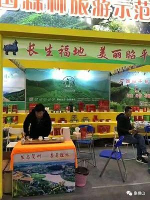 象棋山茶叶 回顾2018，展望2019——美丽山小缘分